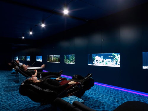 Google Zurich Nap Rooms